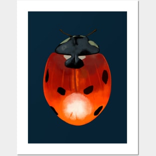 Ladybird Beetle Design Posters and Art